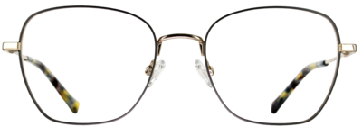 assets/images/a/383_1909_f-ec2ce504.png